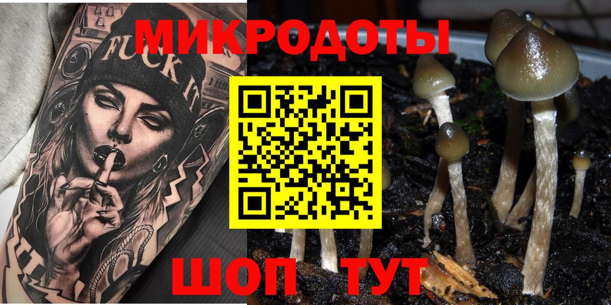 Галлюциногенные грибы Magic Shrooms Пугачёв